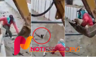 Noticias de Puerto Vallarta | NotiespacioPV | Obreros salvan a perrita que cayó a canal; "lo hicimos de corazón"