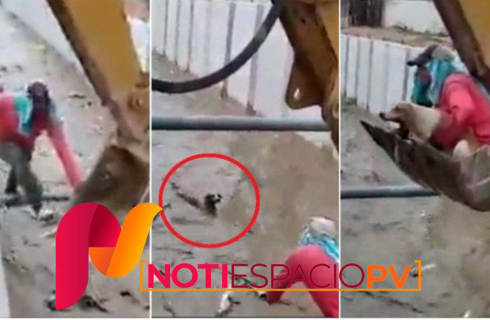 Noticias de Puerto Vallarta | NotiespacioPV | Obreros salvan a perrita que cayó a canal; "lo hicimos de corazón"
