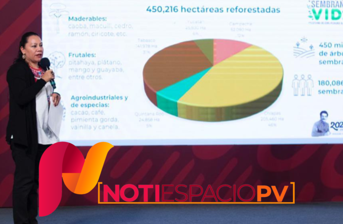 Noticias de Puerto Vallarta | NotiespacioPV | Semarnat confirma que cuatro tramos del Tren Maya carecen de permisos ambientales definitivos