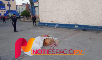 Noticias de Puerto Vallarta | NotiespacioPV | Lomito conmueve a internautas por resguardar el cadáver de su dueño
