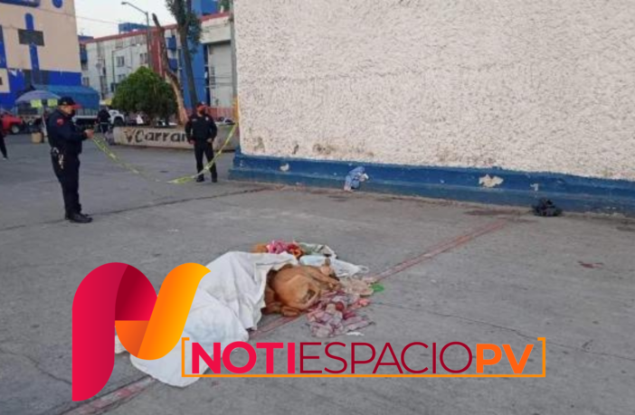 Noticias de Puerto Vallarta | NotiespacioPV | Lomito conmueve a internautas por resguardar el cadáver de su dueño