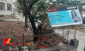 Noticias de Puerto Vallarta | NotiespacioPV | Hallan identificación de Debanhi en Condominios Constitución en Monterrey