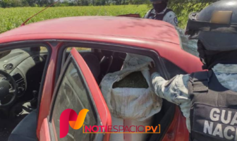 Decomisan cien kilos de marihuana en un vehículo en Ahualulco de Mercado Noticias de Puerto Vallarta | NotiespacioPV | Decomisan cien kilos de marihuana en un vehículo en Ahualulco de Mercado