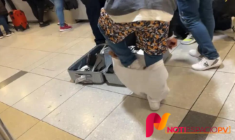 Noticias de Puerto Vallarta | NotiespacioPV | VIDEO: Turista usa varias capas de ropa para no pagar exceso de equipaje