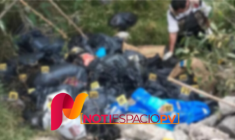 Noticias de Puerto Vallarta | NotiespacioPV | Encuentran restos de más de 100 perros en bolsas de plástico en el Edomex