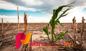 Noticias de Puerto Vallarta | NotiespacioPV | 26 cuencas de México son afectadas por la sequía: CONAGUA