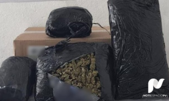 Noticias de Puerto Vallarta | NotiespacioPV | Por primera ocasión Sedena incauta 161 kilos de ayahuasca