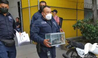 Noticias de Puerto Vallarta | NotiespacioPV | Autoridades rescatan animales exóticos en el Estado de México