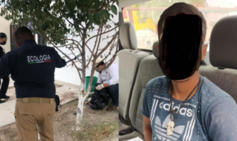 Noticias de Puerto Vallarta | NotiespacioPV | Detienen a hombre por intentar comerse a un perro en Ciudad Juárez