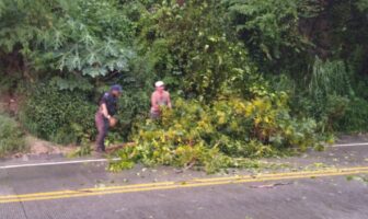 Noticias de Puerto Vallarta | NotiespacioPV | Responde Protección Civil y Bomberos a los reportes ciudadanos