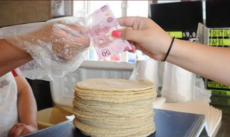 Noticias de Puerto Vallarta | NotiespacioPV | Pide Profeco reportar los establecimientos que vendan el kilo de tortilla a 25 pesos