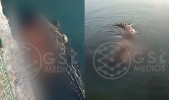 Noticias de Puerto Vallarta | NotiespacioPV | VIDEO: Cocodrilo mata a hombre que nadaba en la Laguna del Carpintero en Tampico
