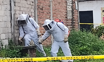 Notiespacio PV | Tres personas resultaron con picaduras de abeja en La Floresta