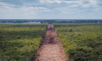 Noticias de Puerto Vallarta | NotiespacioPV | Gobierno federal busca expropiar 190 hectáreas para Tramo 5 del Tren Maya