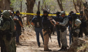 Noticias de Puerto Vallarta | NotiespacioPV | Encuentran 11 cuerpos en una huerta en Michoacán