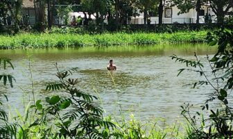 Notiespacio PV | Hombre escapa de la Policía y termina a mitad de la Laguna del Coapinole