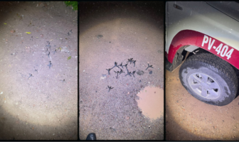 Notiespacio PV | Otra vez...patrullas son víctimas de ponchallantas