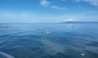 Notiespacio PV | Localizan y rescatan cuerpo en el mar de Puerto Vallarta
