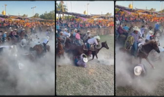 Noticias de Puerto Vallarta | NotiespacioPV | VIDEO: "Carambola" de caballos en torneo de lazo desata el caos en Yucatán
