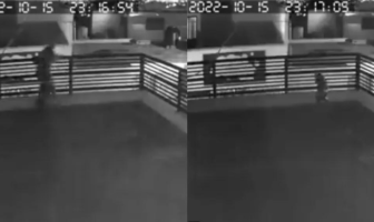 Noticias de Puerto Vallarta | NotiespacioPV | VIDEO: Perros frustran robo en Coahuila; ladrón salta de un segundo piso