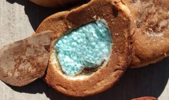 Noticias de Puerto Vallarta | NotiespacioPV | Aseguran 2 mil pastillas de fentanilo dentro de pan casero en Culiacán