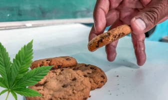 Noticias de Puerto Vallarta | NotiespacioPV | Dos estudiantes se intoxican con galletas de marihuana en Sinaloa