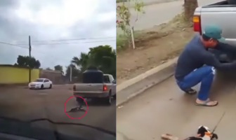 Noticias de Puerto Vallarta | NotiespacioPV | VIDEO: Hombre arrastra a perrito con su camioneta en Sonora; piden justicia para "Zorrillo"