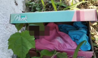 Noticias de Puerto Vallarta | NotiespacioPV | Fallece bebé abandonada en caja de zapatos en Veracruz