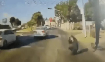 Noticias de Puerto Vallarta | NotiespacioPV | VIDEO: Se lanza contra las llantas de un camión en Zapopan