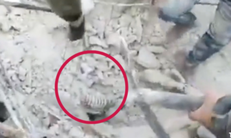 Noticias de Puerto Vallarta | NotiespacioPV | VIDEO: Le salva la vida a su hijo al cubrirlo con su cuerpo durante sismo en Turquía