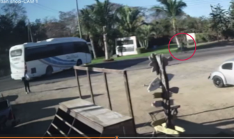 Noticias de Puerto Vallarta | NotiespacioPV | Vinculan a proceso a chofer por "homicidio culposo" de motociclista en BadeBa