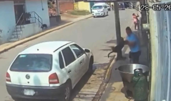 Noticias de Puerto Vallarta | NotiespacioPV | VIDEO: Buscan a individuo que lanzó a un perro a una olla de aceite caliente