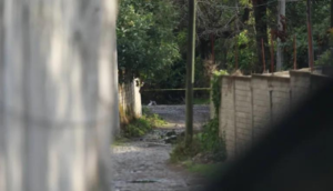 Foto tomada del portal NTV+