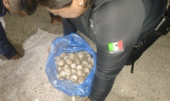 SSE asegura huevos de tortuga en playa Las Glorias