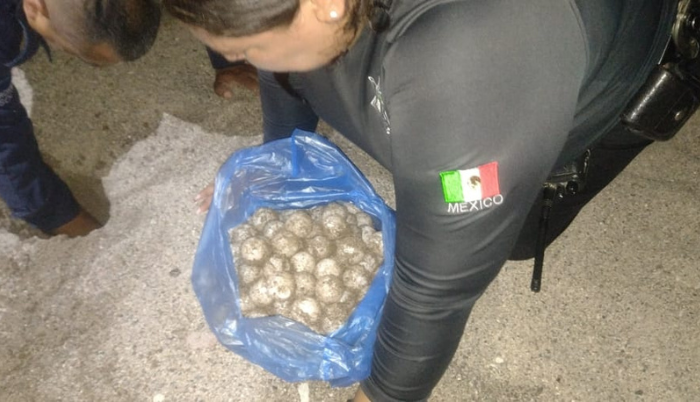 SSE asegura huevos de tortuga en playa Las Glorias