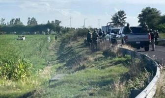 Grupo armado mata a cinco campesinos en Guanajuato