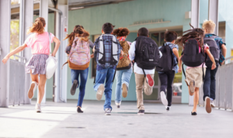 Conoce las nuevas materias de educación básica en México