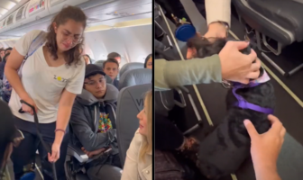 VIDEO: Pasajeros apoyan a joven para evitar que Viva Aerobús la bajara del vuelo VIDEO: Pasajeros apoyan a joven para evitar que Viva Aerobús la bajara del vuelo