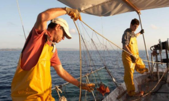 Urge mejorar las condiciones labores de trabajadores del mar en México: Senado