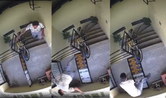 Sujeto golpea y lanza a perrito desde 2do piso en Puebla