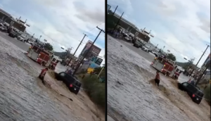 Adulto mayor es rescatado tras ser arrastrado por corriente en inundación en La Paz