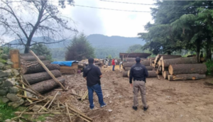 Operativo conjunto de la FGR y PROFEPA asegura aserraderos clandestinos en Morelos