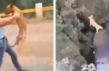 Adolescentes lanzan a perrito a un río en Michoacán