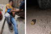 Vecino de Ixtapa es agredido a balazos por disputa de estacionamiento