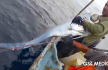 VIDEO: Pescadores de San Blas capturan pez remo cerca de las Islas Marías