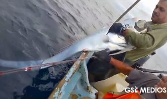 VIDEO: Pescadores de San Blas capturan pez remo cerca de las Islas Marías