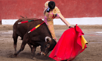 Jueza vuelve a frenar las corridas de toros en la Plaza México