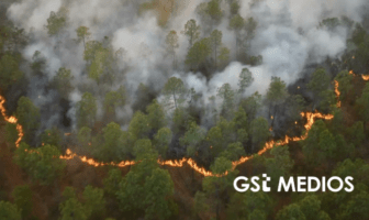 Jalisco registró más de 1,400 incendios forestales en 2023