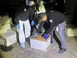 Aseguran más de un millón de pastillas de fentanilo y drogas en operativo en Sinaloa