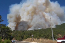 Incendio en Sierra Norte de Oaxaca obliga evacuación de habitantes y causa devastación en reserva ecológica